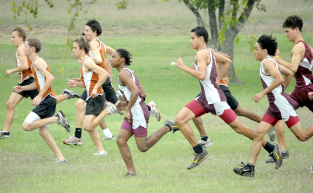 Roos run away with district X-country title